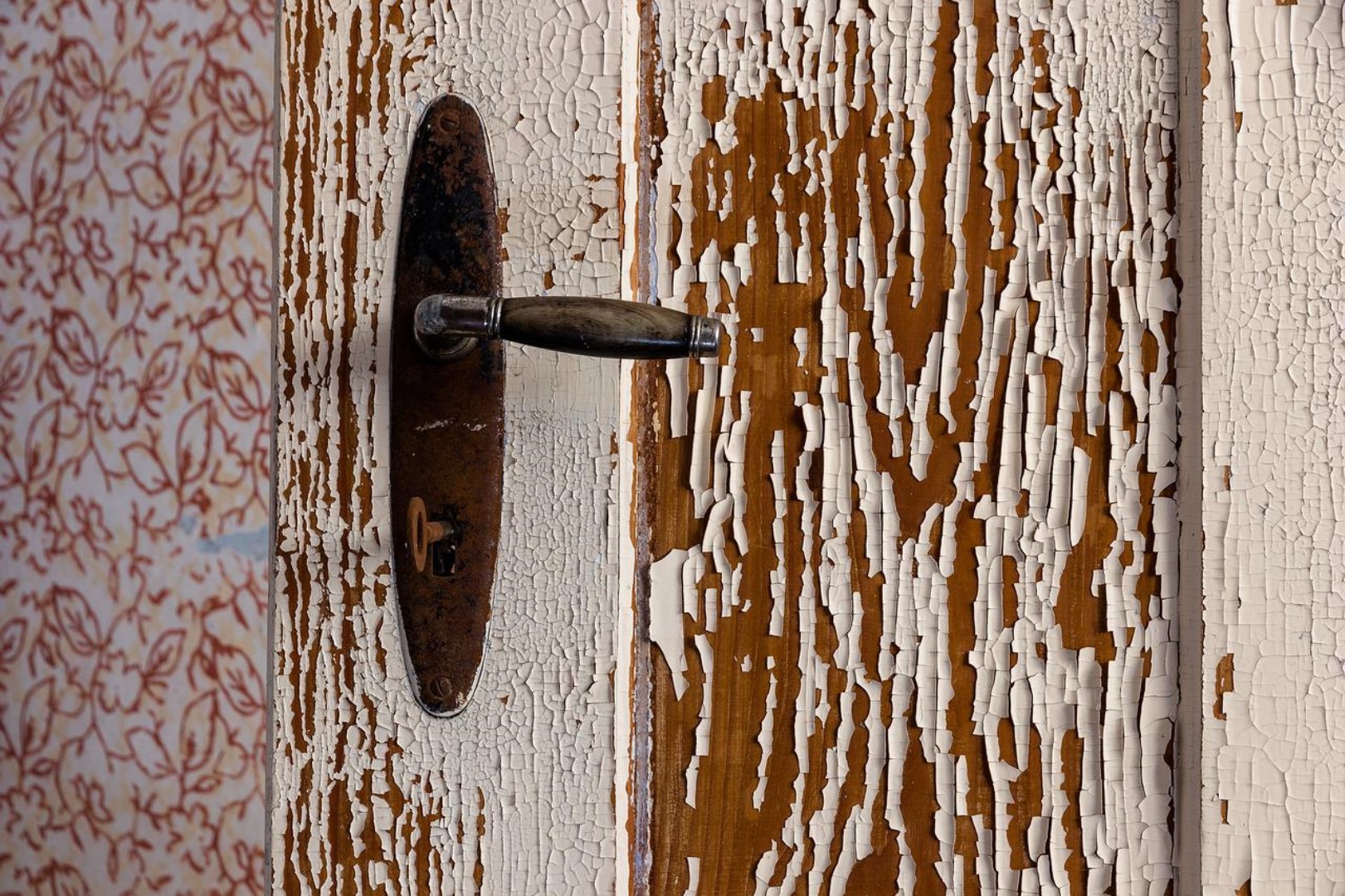 Seguridad en casa: Descubre cómo los cerrajeros  pueden ayudarte
